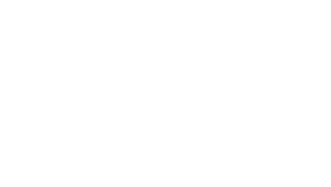 Topology banner background.svg
